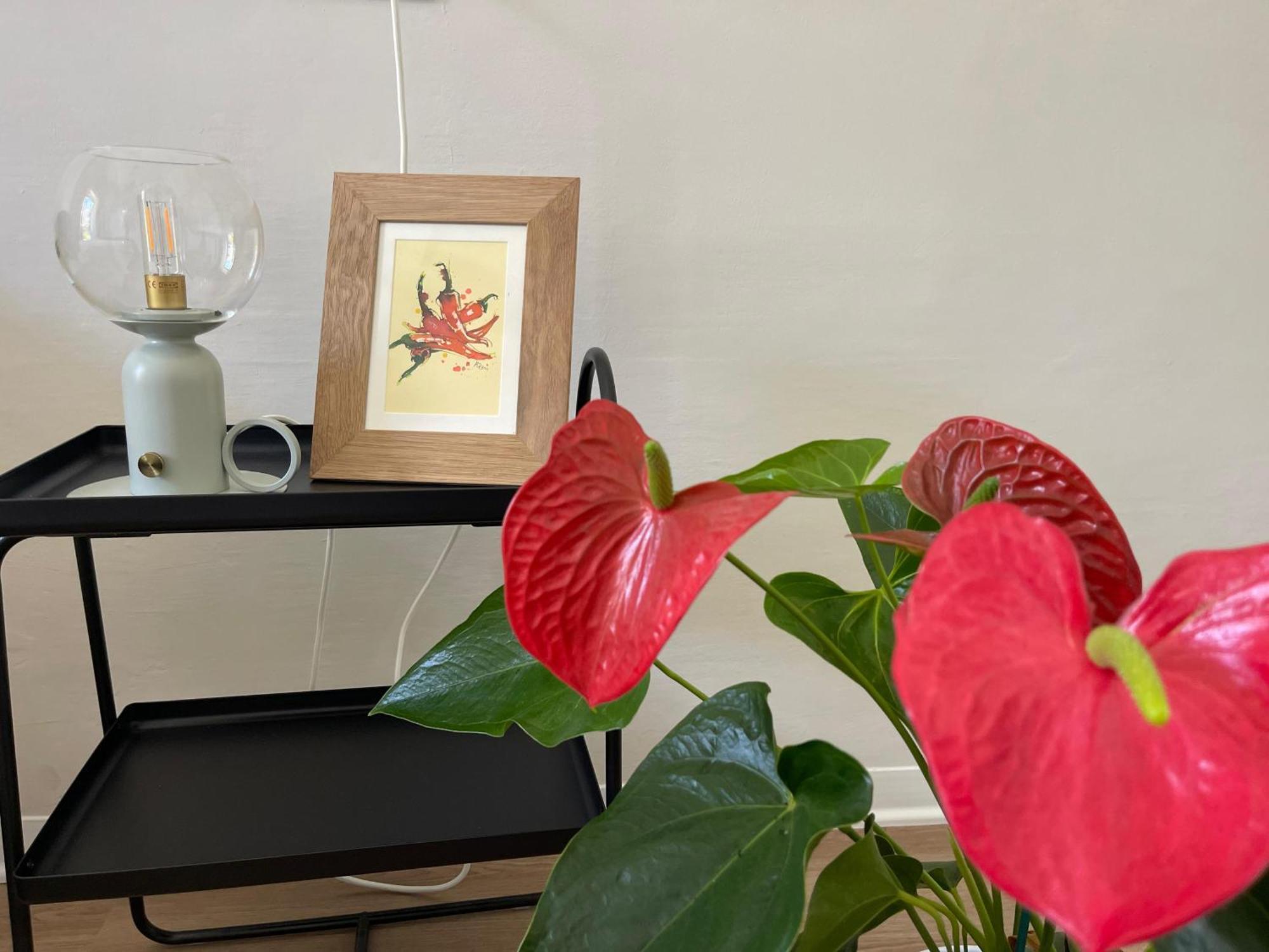 Apartmán La Dimora Di Annika Oria  Exteriér fotografie